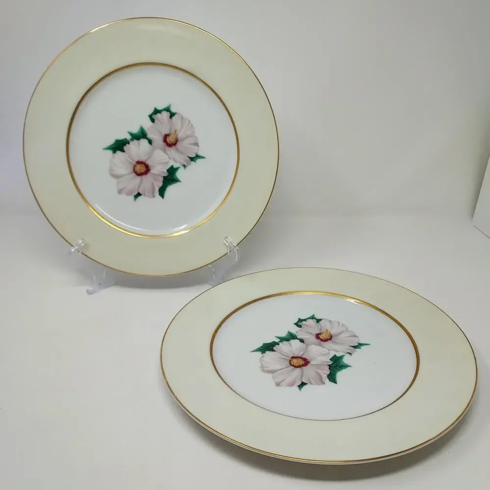 Kent Tropical Pattern Set of 2 Dinner Plates 10 5/8